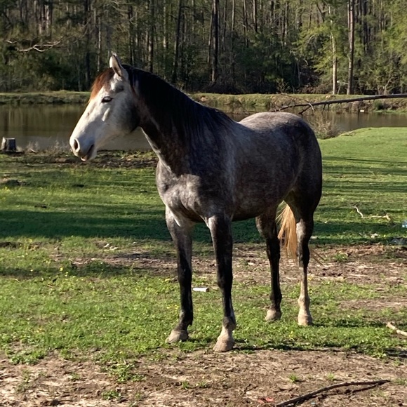 Meet your Posher, Lyndee - Picture 11 of 11